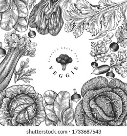 Hand drawn sketch vegetables design. Organic fresh food vector banner template. Retro vegetable background. Engraved style botanical illustrations.