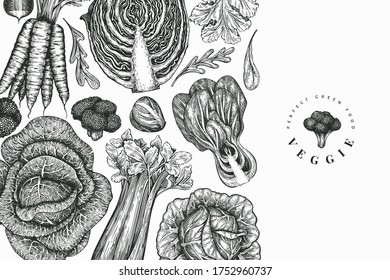 Hand drawn sketch vegetables design. Organic fresh food vector banner template. Retro vegetable background. Engraved style botanical illustrations.