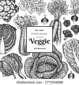 Hand drawn sketch vegetables design. Organic fresh food vector banner template. Retro vegetable background. Engraved style botanical illustrations.