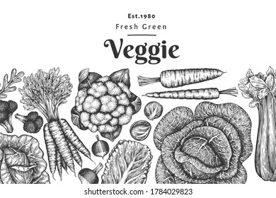 Hand drawn sketch vegetables design. Organic fresh food vector banner template. Retro vegetable background. Engraved style botanical illustrations.