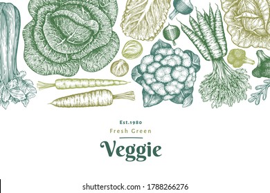 Hand drawn sketch vegetables design. Organic fresh food vector banner template. Retro vegetable background. Engraved style botanical illustrations.