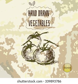 Hand drawn sketch vegetables set. Food vector illustration. Grunge style background. Tomatoes