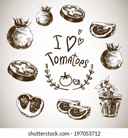 Hand Drawn Sketch of vegetables, Tomatoes. Vector Design Menu Element.