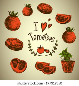 Hand Drawn Sketch of vegetables, Tomatoes. Vector Design Menu Element.