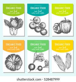 Hand drawn sketch vegetables. Vector banner collection. Organic food banner set. Vector illustration