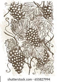 A hand drawn sketch of the vine. Can be used for the design of wine packaging.Nature pattern.