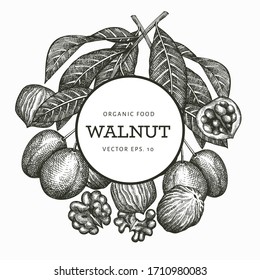 Hand drawn sketch walnut design template. Organic food vector illustration. Retro nut illustration. Engraved style botanical background.