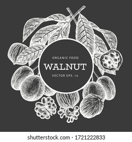 Plantilla de diseño de nogal dibujada a mano. Ilustración vectorial de alimentos orgánicos en pizarra. Ilustración de tuerca vintage. Fondo botánico de estilo grabado.
