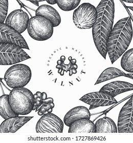 Hand drawn sketch walnut design template. Organic food vector illustration. Retro nut illustration. Engraved style botanical background.