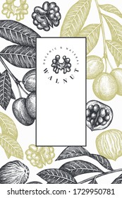 Handgezeichnete Nussbauweise. Organische Darstellung von Nahrungsvektoren. Retro-Nuss-Abbildung. Botanischer Hintergrund im Stilstil.