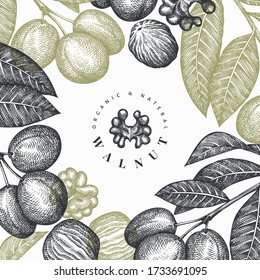 Plantilla de diseño de nogal de esbozo dibujado a mano. Ilustración vectorial de alimentos orgánicos. Ilustración de tuerca retro. Fondo botánico de estilo grabado.