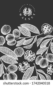 Hand drawn sketch walnut design template. Organic food vector illustration on chalk board. Vintage nut illustration. Engraved style botanical background.