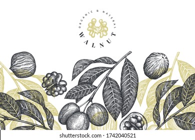 Plantilla de diseño de nogal de esbozo dibujado a mano. Ilustración vectorial de alimentos orgánicos. Ilustración de tuerca retro. Fondo botánico de estilo grabado.
