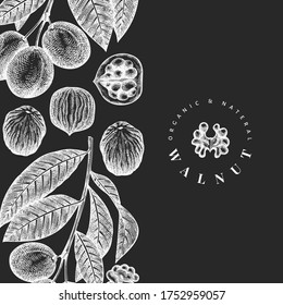 Hand drawn sketch walnut design template. Organic food vector illustration on chalk board. Vintage nut illustration. Engraved style botanical background.