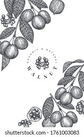 Hand drawn sketch walnut design template. Organic food vector illustration. Retro nut illustration. Engraved style botanical background.