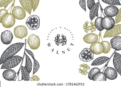 Plantilla de diseño de nogal de esbozo dibujado a mano. Ilustración vectorial de alimentos orgánicos. Ilustración de tuerca retro. Fondo botánico de estilo grabado.