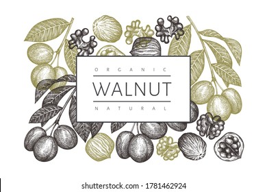 Plantilla de diseño de nogal de esbozo dibujado a mano. Ilustración vectorial de alimentos orgánicos. Ilustración de tuerca retro. Fondo botánico de estilo grabado.