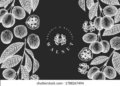 Hand drawn sketch walnut design template. Organic food vector illustration on chalk board. Vintage nut illustration. Engraved style botanical background.