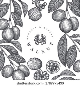 Hand drawn sketch walnut design template. Organic food vector illustration. Retro nut illustration. Engraved style botanical background.