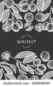 Hand drawn sketch walnut design template. Organic food vector illustration on chalk board. Vintage nut illustration. Engraved style botanical background.
