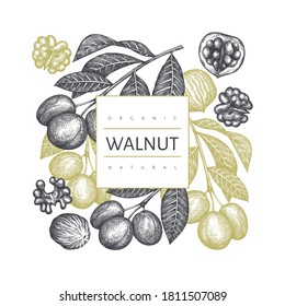 Plantilla de diseño de nogal de esbozo dibujado a mano. Ilustración vectorial de alimentos orgánicos. Ilustración de tuerca retro. Fondo botánico de estilo grabado.