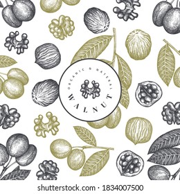 Hand drawn sketch walnut design template. Organic food vector illustration. Retro nut illustration. Engraved style botanical background.