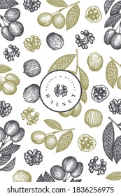 Hand drawn sketch walnut design template. Organic food vector illustration. Retro nut illustration. Engraved style botanical background.