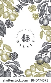 Handgezeichnete Nussbaumvorlage. Bio-Lebensmittel-Vektorgrafik. Retro-Nuss-Illustration. botanischer Hintergrund im Stilstil.