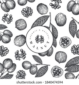 Handgezeichnete Nussbaumvorlage. Bio-Lebensmittel-Vektorgrafik. Retro-Nuss-Illustration. botanischer Hintergrund im Stilstil.