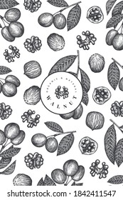 Hand drawn sketch walnut design template. Organic food vector illustration. Retro nut illustration. Engraved style botanical background.