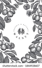 Hand drawn sketch walnut design template. Organic food vector illustration. Retro nut illustration. Engraved style botanical background.