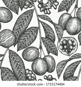 Hand drawn sketch walnut seamless pattern. Organic food vector illustration on white background. Retro nut illustration. Engraved style botanical background.