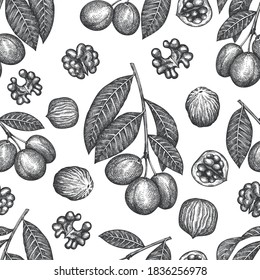 Hand drawn sketch walnut seamless pattern. Organic food vector illustration on white background. Vintage nut illustration. Engraved style botanical background.