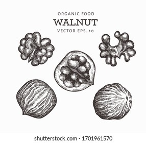 Conjunto de tuercas dibujadas a mano. Ilustración vectorial orgánica aislada en fondo blanco. Ilustración de tuerca retro. Imagen botánica de estilo grabado.