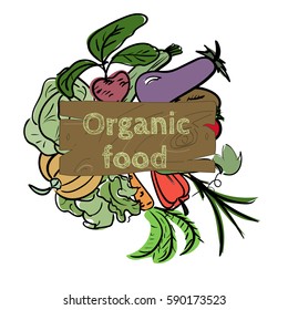 Hand drawn sketch watercolor vegetable icon with text on vintage board. Organic healthy food vector illustration