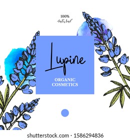 Hand drawn sketch watercolor wildflowers background. Vector illustration of medical herbs and flowers. Natural cosmetics packaging design