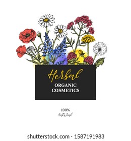 Hand drawn sketch watercolor wildflowers background. Vector illustration of medical herbs and flowers. Natural cosmetics packaging design