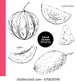 Hand drawn sketch of watermelon, melon and fruit slices. Ink illustration for food background or fruit package label.