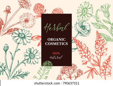 Hand drawn sketch waytercolor wildflowers background. Vector illustration of medical herbs and flowers. Natural cosmetics packaging design