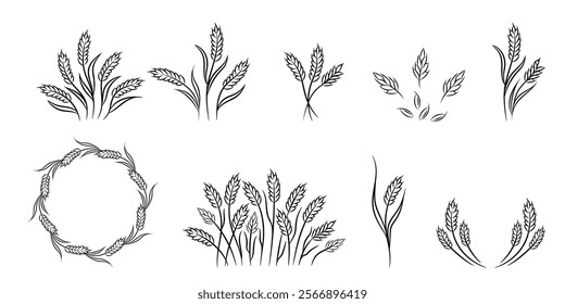 Hand drawn sketch of wheat ears. Set of design elements.