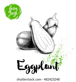 Hand drawn sketch whole eggplants with hal cut aubergine composition. Illustration isolated on white background. Farm fresh ecological vegetables artwork.