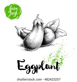 Hand drawn sketch whole eggplants composition with leaves. Illustration isolated on white background. Farm fresh ecological vegetables artwork.