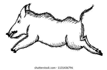 Hand drawn sketch of wild boar, big pig running. Engraving style. 2019 new year symbol. Vector illustration isolated on white background