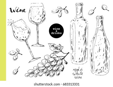 Hand drawn sketch of wine glasses, red and white wine bottles, grapes bunch and berries and. Ink illustration for food background or fruit package label.