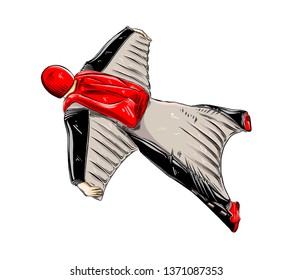 Hand drawn sketch of wingsuit in color, isolated on white background. Detailed vintage style drawing. Vector illustration