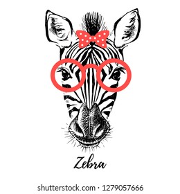 Hand drawn sketch zebra hipster head illustration. Isolated cute trendy portrait on white background