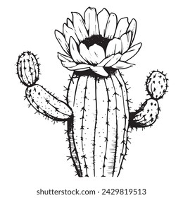 Hand Drawn Sketched Outline Cactus Silhouette. Mexican Plant Realistic Vector Illustration. 