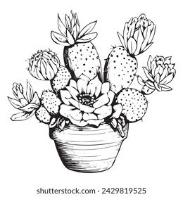 Hand Drawn Sketched Outline Cactus Silhouette. Mexican Plant Realistic Vector Illustration. 