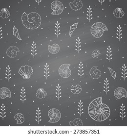 Hand drawn sketches background with seashells and plants in chalk on blackboard. Vector illustrations