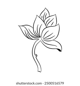 Hand drawn sketches of blooming floral and leaves element plants. Hand drawn vintage peony flowers and leaves in line art style. Vector botanical engraving on white background